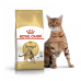 Корм для дорослих котів ROYAL CANIN BENGAL ADULT 2 кг