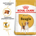 Корм для дорослих собак ROYAL CANIN BEAGLE ADULT 3 кг