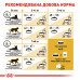 Корм для дорослих котів ROYAL CANIN BENGAL ADULT 2 кг
