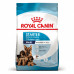 Корм для новонароджених собак ROYAL CANIN MAXI STARTER 4 кг