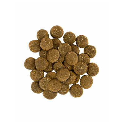 Сухий корм Savory Fresh Turkey & Lamb Adult Large Breeds для собак великих порід з індичкою та ягням 12 кг