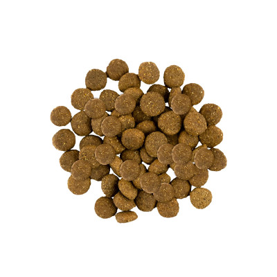 Сухий корм Savory Fresh Turkey & Сhicken Junior Large Breeds для цуценят великих порід м'ясом індички та курки 12 кг