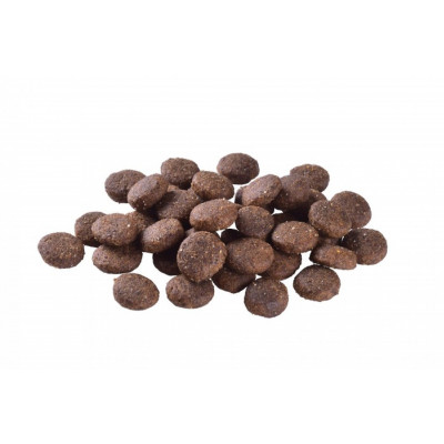 Корм для молодых собак больших пород Brit Care Dog Grain-free Junior Large Breed Salmon беззерновой с лососем, 12 кг