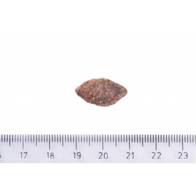 Корм для собак з чутливим травленням Brit Care Dog Grain-free Sensitive Venison беззерновий з олениною, 3 кг