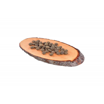 Сухой корм для собак Carnilove True Fresh Fish for Adult dogs с рыбой 4 кг