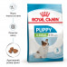 Корм для цуценят ROYAL CANIN XSMALL PUPPY 500 г