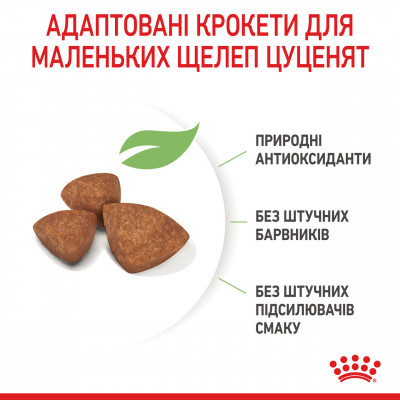 Корм для цуценят ROYAL CANIN XSMALL PUPPY 500 г