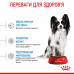 Корм для цуценят ROYAL CANIN XSMALL PUPPY 3 кг