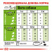 Корм для дорослих собак ROYAL CANIN XSMALL ADULT 3 кг