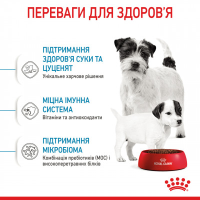 Корм для новонароджених собак ROYAL CANIN MINI STARTER 1 кг