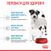 Корм для новонароджених собак ROYAL CANIN MINI STARTER 1 кг