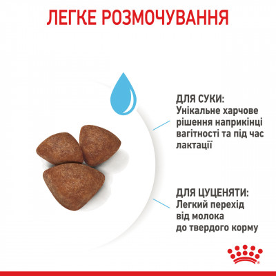 Корм для новонароджених собак ROYAL CANIN MINI STARTER 1 кг