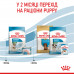 Корм для новонароджених собак ROYAL CANIN MINI STARTER 1 кг