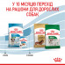 Корм для цуценят ROYAL CANIN MINI PUPPY 2 кг