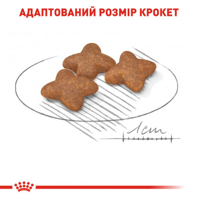 Корм для дорослих собак ROYAL CANIN MINI ADULT 2 кг