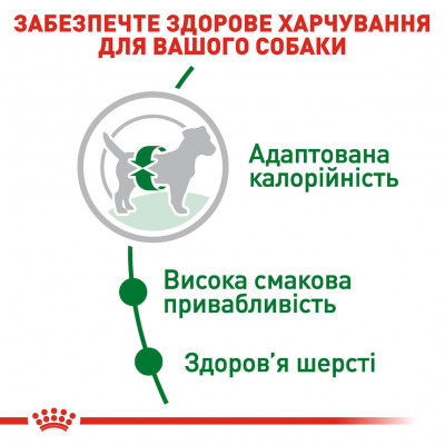 Корм для дорослих собак ROYAL CANIN MINI ADULT 8 кг