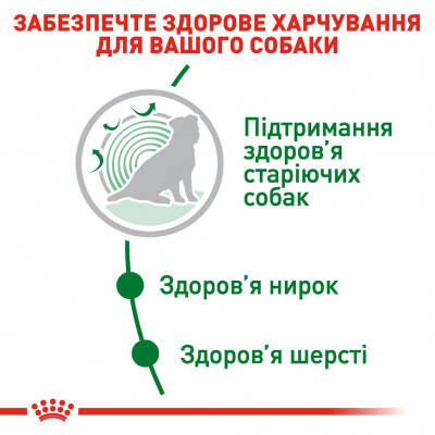 Корм для зрелых собак ROYAL CANIN MINI AGEING 12+ 800 г