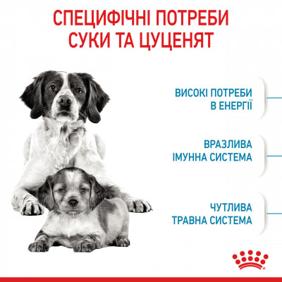 Корм для новонароджених собак ROYAL CANIN MEDIUM STARTER 1 кг