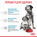 Корм для новонароджених собак ROYAL CANIN MEDIUM STARTER 1 кг