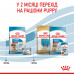 Корм для новонароджених собак ROYAL CANIN MEDIUM STARTER 1 кг