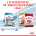 Корм для цуценят ROYAL CANIN MEDIUM PUPPY 1 кг