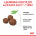 Корм для цуценят ROYAL CANIN MEDIUM PUPPY 15 кг