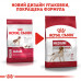 Корм для дорослих собак ROYAL CANIN MEDIUM ADULT 15 кг