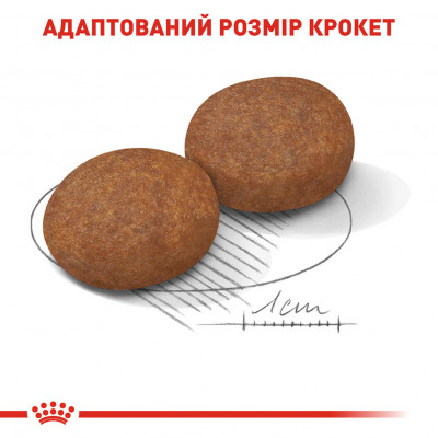 Корм для дорослих собак ROYAL CANIN MEDIUM ADULT 7+ 4 кг