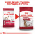 Корм для дорослих собак ROYAL CANIN MEDIUM ADULT 7+ 4 кг