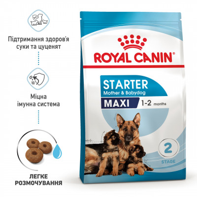 Корм для новонароджених собак ROYAL CANIN MAXI STARTER 4 кг
