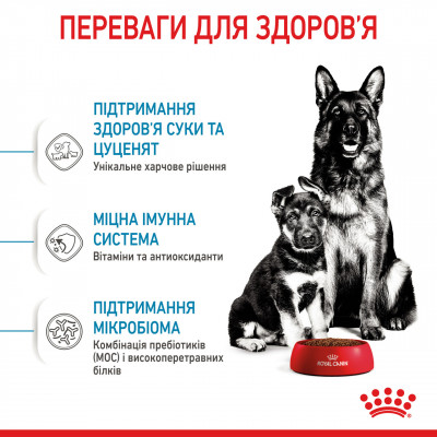 Корм для новонароджених собак ROYAL CANIN MAXI STARTER 4 кг
