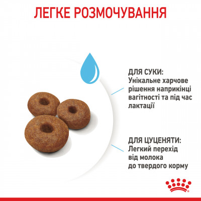Корм для новонароджених собак ROYAL CANIN MAXI STARTER 4 кг