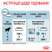 Корм для новонароджених собак ROYAL CANIN MAXI STARTER 4 кг