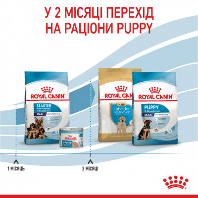 Корм для новонароджених собак ROYAL CANIN MAXI STARTER 4 кг