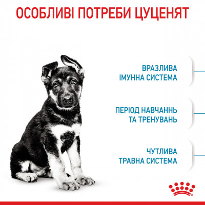 Корм для цуценят ROYAL CANIN MAXI PUPPY 1 кг
