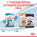 Корм для цуценят ROYAL CANIN MAXI PUPPY 4 кг