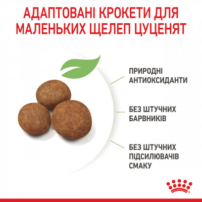 Корм для цуценят ROYAL CANIN MAXI PUPPY 15 кг