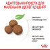 Корм для цуценят ROYAL CANIN MAXI PUPPY 15 кг