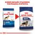 Корм для дорослих собак ROYAL CANIN MAXI ADULT 4 кг