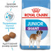 Корм для молодых собак ROYAL CANIN GIANT JUNIOR 15 кг