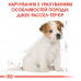 Корм для цуценят ROYAL CANIN JACK RUSSEL PUPPY 1.5 кг