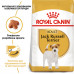 Корм для дорослих собак ROYAL CANIN JACK RUSSEL ADULT 1.5 кг