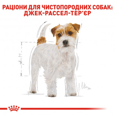 Корм для дорослих собак ROYAL CANIN JACK RUSSEL ADULT 1.5 кг