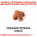 Корм для дорослих собак ROYAL CANIN JACK RUSSEL ADULT 1.5 кг