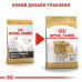 Корм для дорослих собак ROYAL CANIN JACK RUSSEL ADULT 1.5 кг