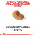 Корм для дорослих собак ROYAL CANIN SHIH TZU ADULT 1.5 кг