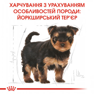 Корм для цуценят ROYAL CANIN YORKSHIRE PUPPY 500 г