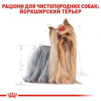 Корм для дорослих собак ROYAL CANIN YORKSHIRE ADULT 500 г