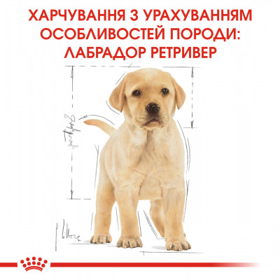 Корм для цуценят ROYAL CANIN LABRADOR PUPPY 3 кг