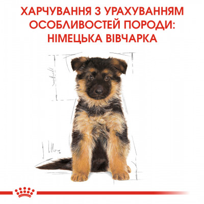 Корм для цуценят ROYAL CANIN GERMAN SHEPHERD PUPPY 12 кг